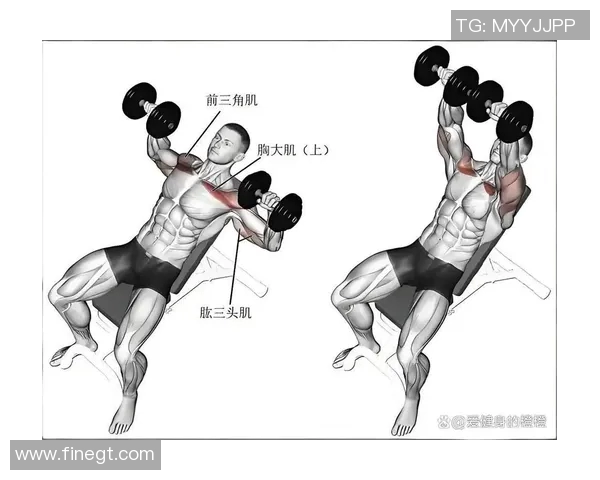 掌握哑铃平板卧推标准动作提升力量与肌肉增长的技巧与要点